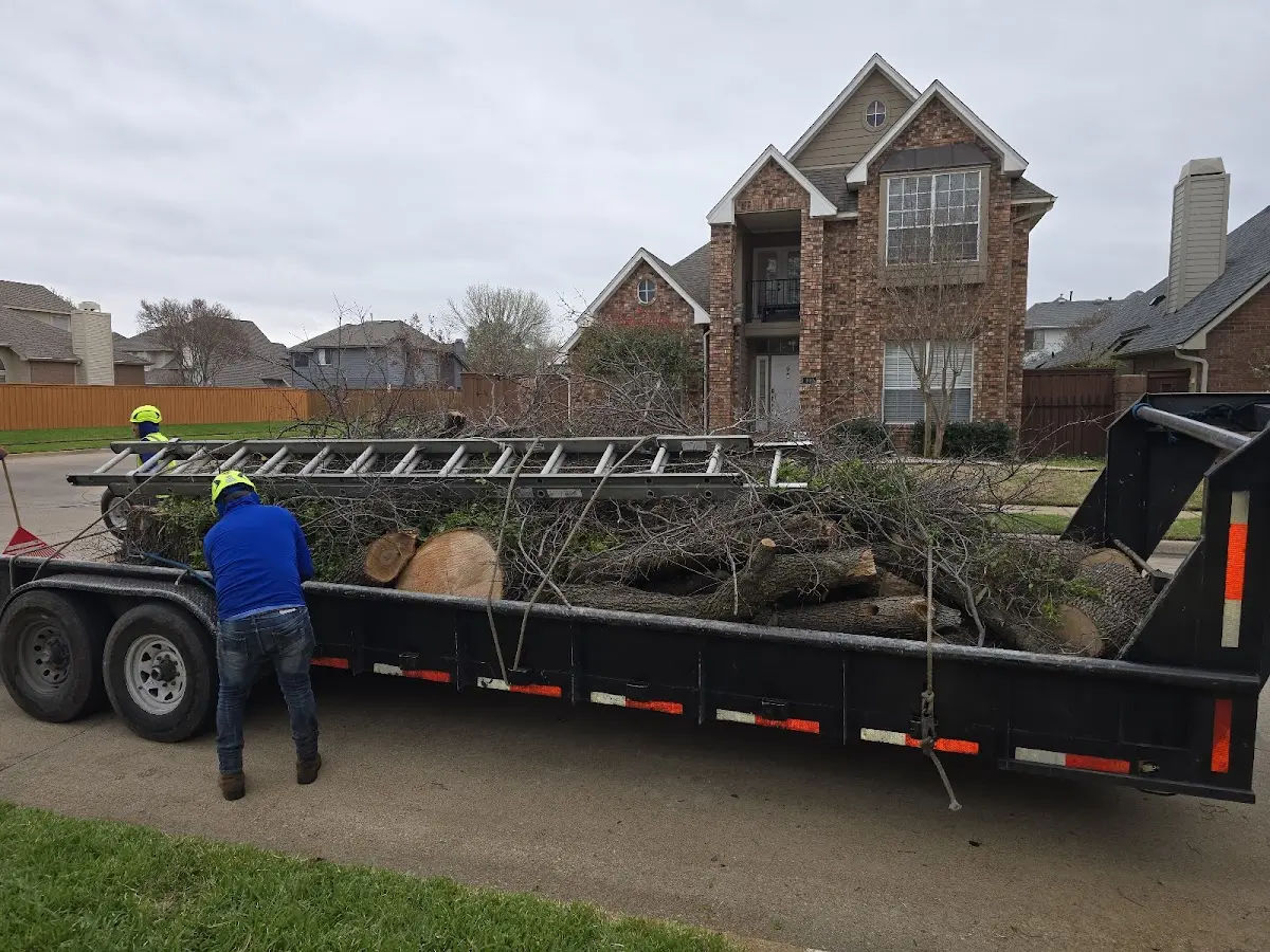 Expert Tree Pest Control with proper safety equipment in Emmet